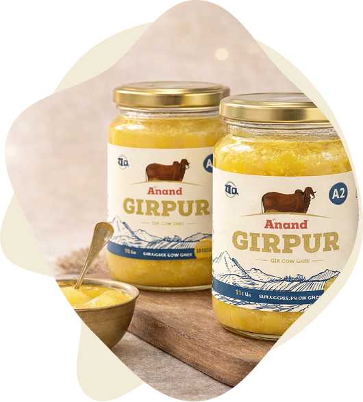 Two jars of Anand Girpur A2 Desi Ghee